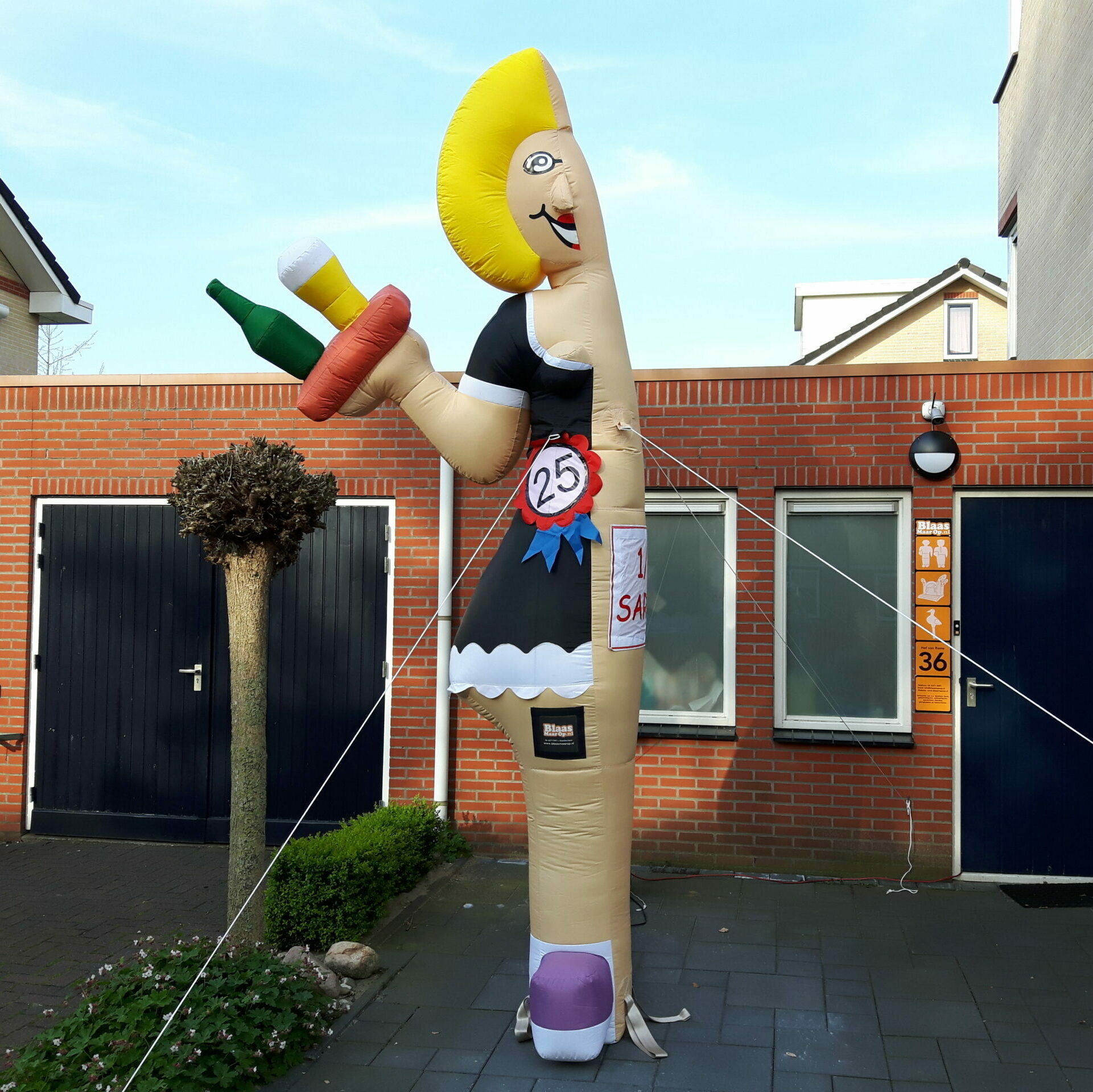 beven Openlijk Vulgariteit Halve Sarah Serveerster 3,5m - Blaasmaarop.nl