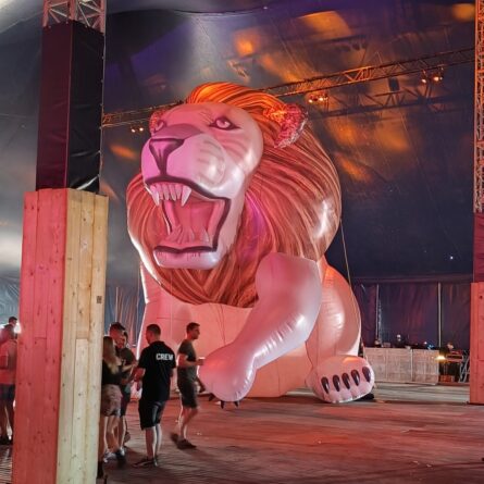 Opblaasbare Leeuw 10 meter