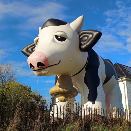 Opblaasbare Koe - inflatable Cow